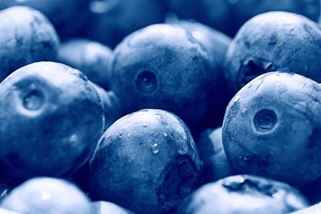 blueberry untuk diet ketogenik