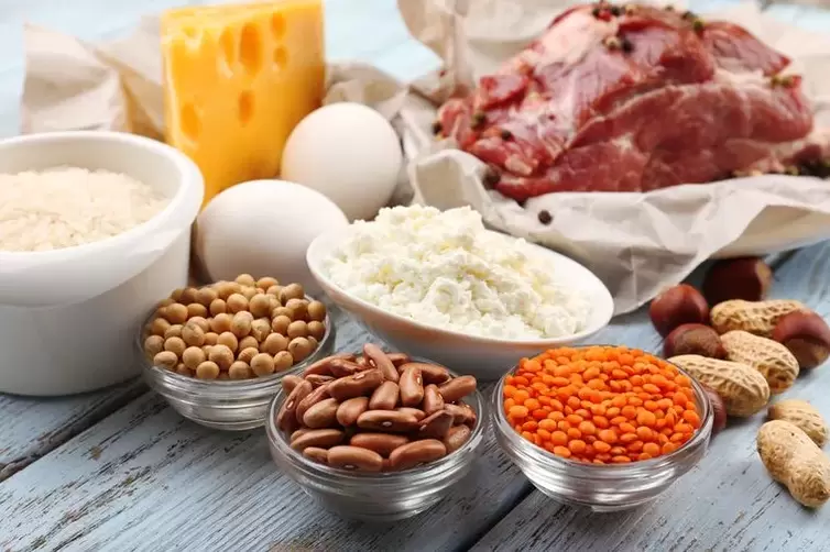 produk untuk diet protein